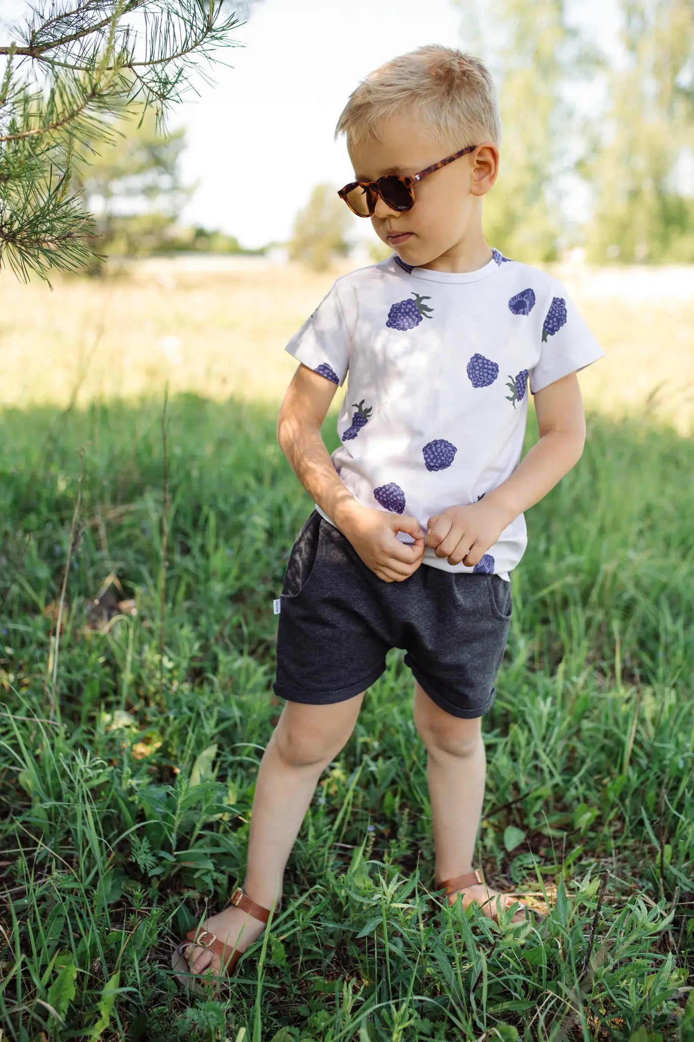 Shirt - Blackberries